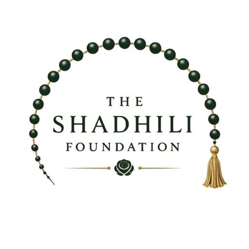theshadhilifoundation.com